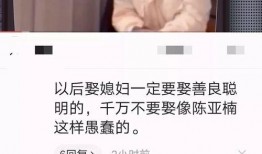 陈亚楠妈妈爆料录音视频,揭秘家庭矛盾背后的真相